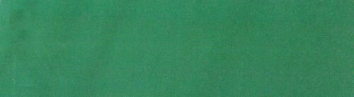 G+系列浅草绿6123 Solution Dyed polyester fabric