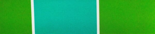 G+系列6311 100%Solution Dyed polyester fabric